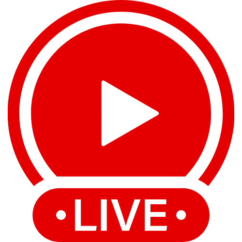 Reallifecamvideo | Live Webcam Shows & Interactive Adult Entertainment